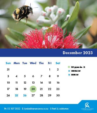 LSCA case calendar Template 2023-2024 December