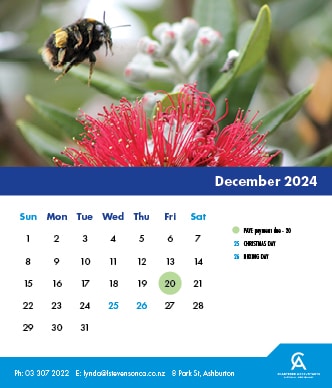 LSCA case calendar Template 2024-2025 Web10